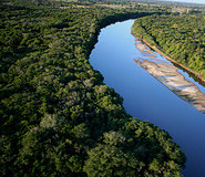 Pantanal Picture, Pantanal Travel, Brazil Travel, Brazil For Less