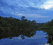 Pantanal Picture, Pantanal Travel, Brazil Travel, Brazil For Less