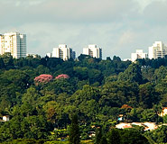 Sao Paulo Tour, Brazil Travel, Brazil For Less