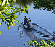 Manaus Tour, Brazil Travel, Brazil For Less