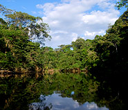 Ecuador Amazon Picture, Amazon Travel, Ecuador Travel, Galapagos For Less