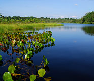 Amazon Picture, Amazon Travel, Galapagos For Less
