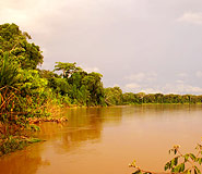 Amazon Picture, Amazon Travel, Galapagos For Less