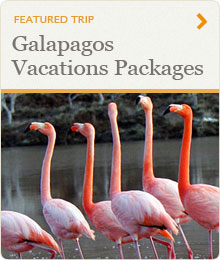 Galapagos Vacations Packages