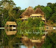 La Selva Lodge Picture, Amazon Lodge, Ecuador Travel, Galapagos For Less