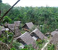 Yacuma Amazon Lodge picture, Amazon lodge, Ecuador Travel, Galapagos For Less