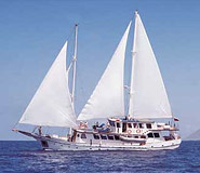 Cachalote I, Galapagos cruise, Galapagos For Less
