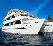 Cormorant Picture, Galapagos Boat, Galapagos Travel, Galapagos For Less