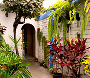 Tangara Guest House  Picture, Guayaquil Hotel, Ecuador Travel, Galapagos For Less