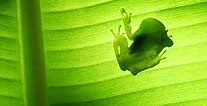 Ecuador picture, Ecuador travel, Galapagos For Less