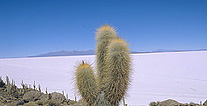 Bolivia picture, Bolivia travel, Peru For Less