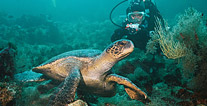 Ecuador picture, Ecuador travel, Galapagos For Less
