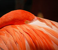 Galapagos picture, Ecuador Travel, Galapagos For Less