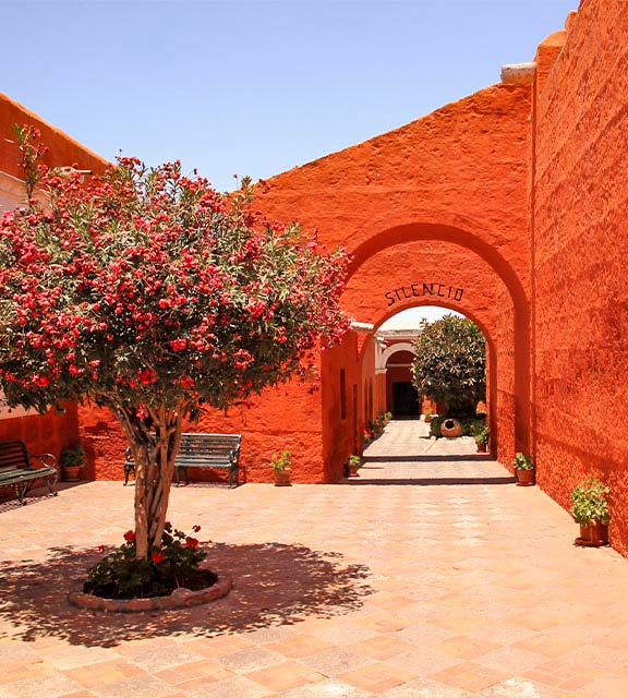 text: A tree with red blossoms surrounded by red walls in the Santa Catalina Monastery in Arequipa.