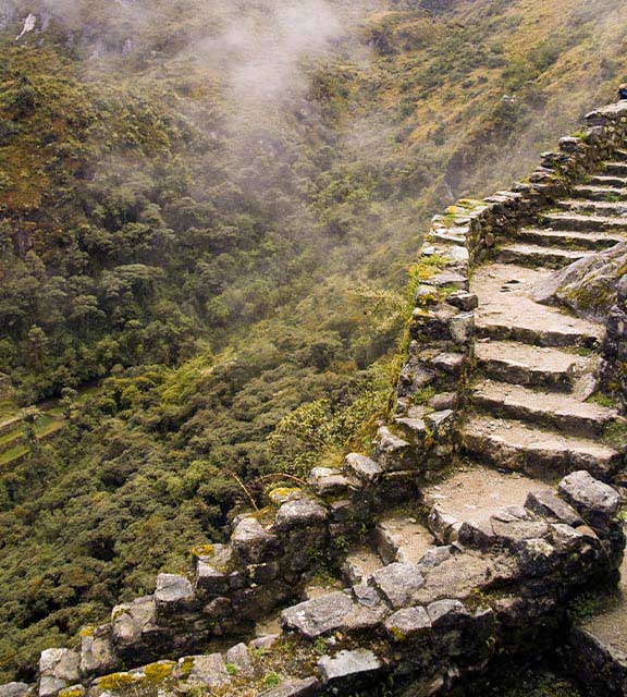 A stone staircase leading up through the cloud forest along the Inca Trail to Machu Picchu.