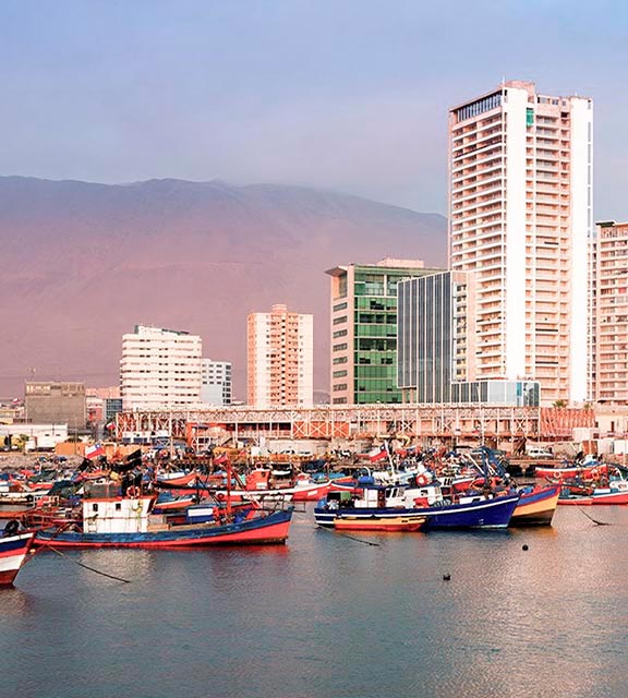 Many fishing boats in the water off the city of the Iquique, overlooked by modern high-rises.