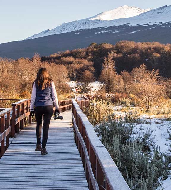 A visitor with a camera walking along a wooden walkway at Tierra del Fuego National Park.