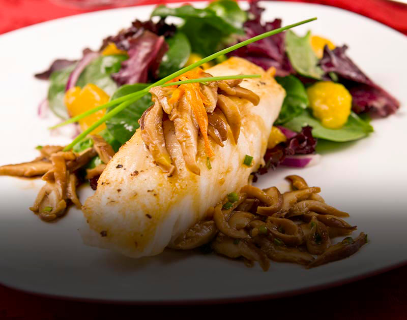 A plate of sea bass with shiitake mushrooms and a side salad at a restaurant in Chile.