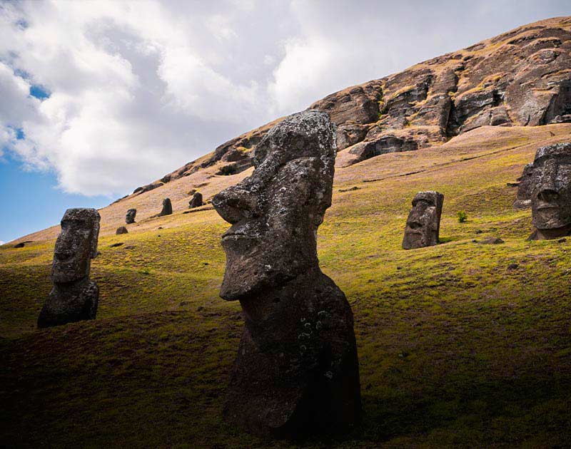 A number of the monolithic statues known as moais protruding from a hillside on Easter Island.