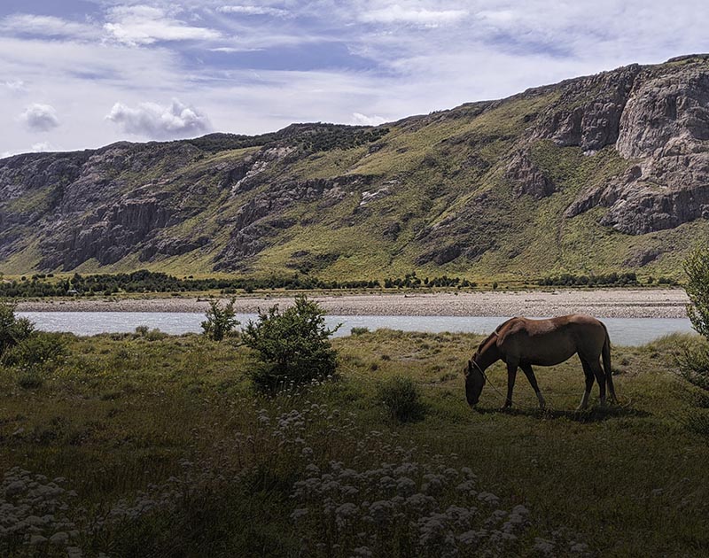 A horse next to a river with rugged hills in the background along a hiking trail near El Chalten.