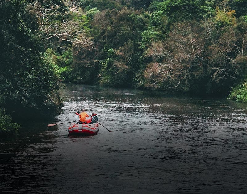 A group on a rafting excursion on the Iguazu River, surrounded by lush rainforest.