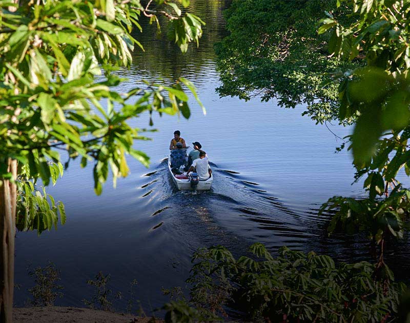 Visitors on a small motorized boat on a river surrounded by lush greenery in the Amazon Rainforest.
