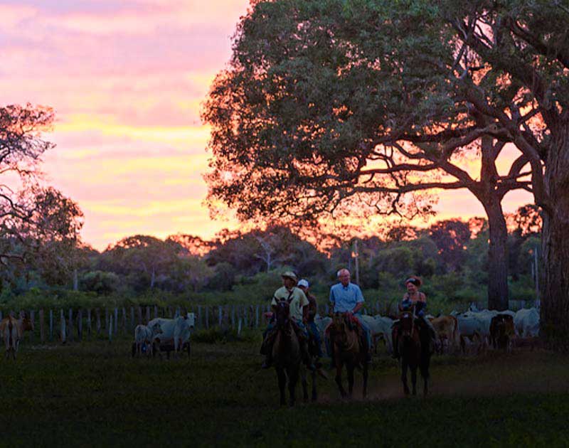 A group of people going for a ride on horseback as the sun sets at a ranch in the Pantanal.