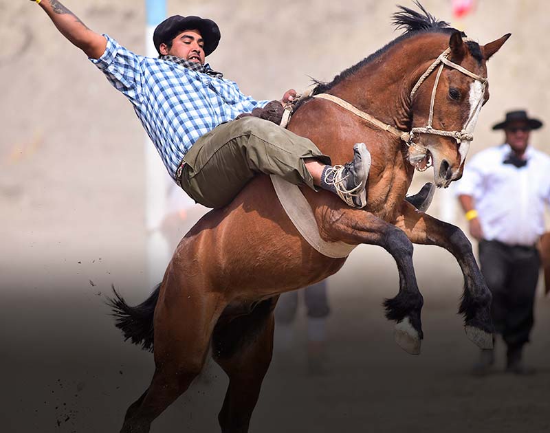 A horse trying to buck a man off its back at a rodeo in Puerto Madryn in Argentine Patagonia.