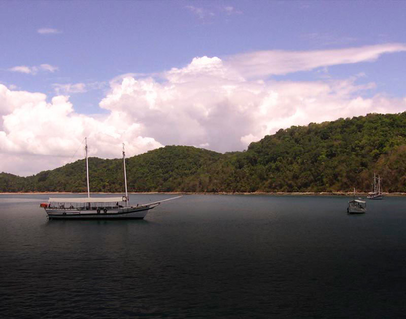 Three boats in the Todos Os Santos Bay, with lush tropical greenery visible onshore.