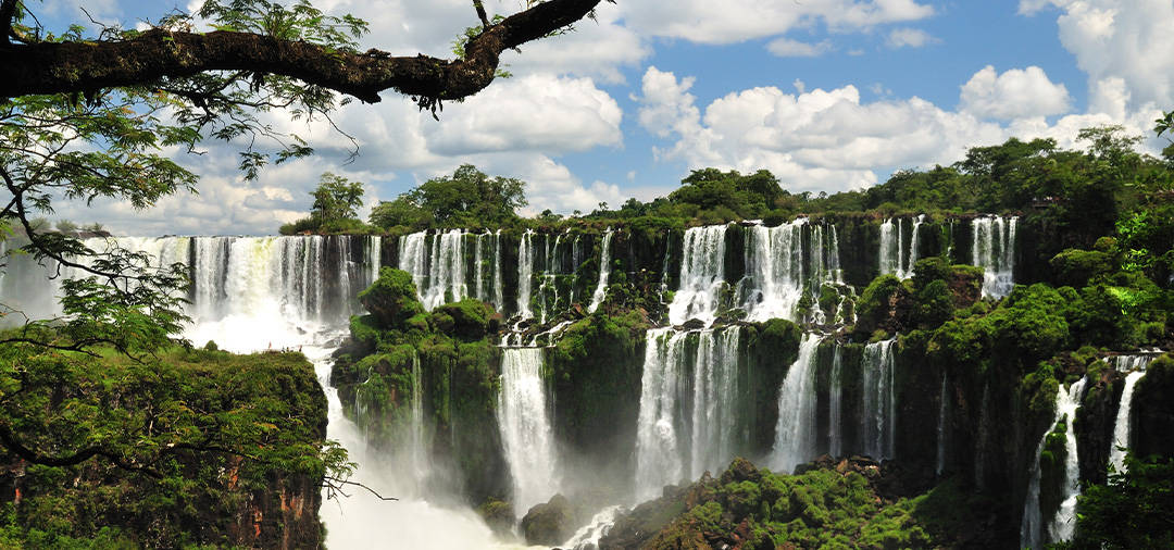 Lush green vegetation and waterfalls at Iguazu Falls, the largest waterfall in the world.