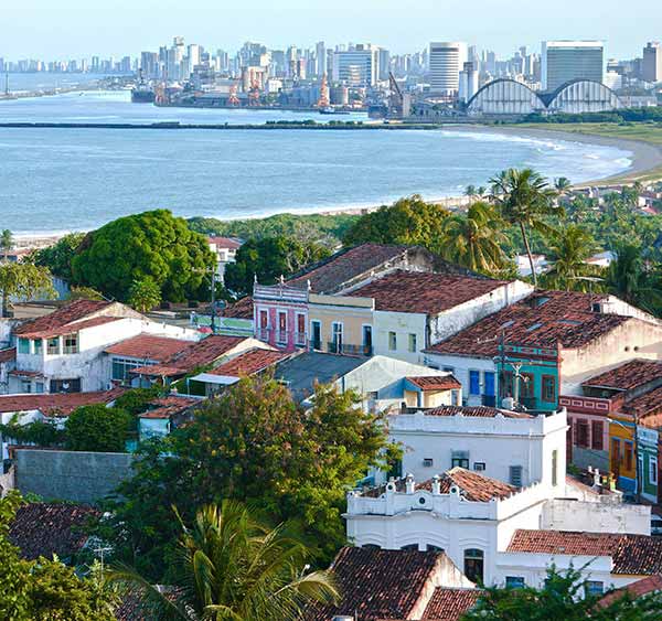 Rooftops and tropical trees with the ocean and the Recife skyline visible in the distance.