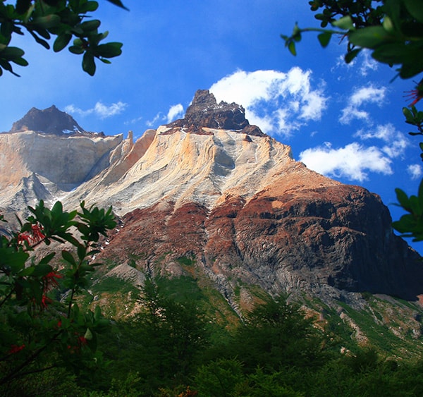 Trees and greenery at the foot of a multi-colored mountain in Torres del Paine National Park.