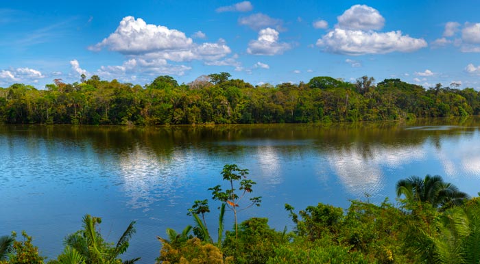 A bright blue sky overlooking a river in the Amazon Rainforest, surrounded by jungle on both sides.