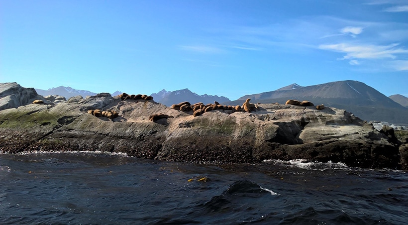 Scenic lake surrounded by forests and mountains in the countryside near the town of Bariloche.