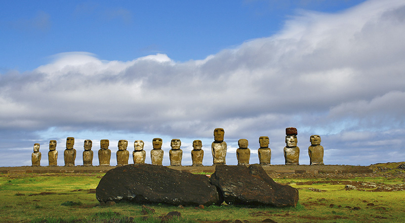 A series of moais, large human figures made of stone, behind a moai on its back.