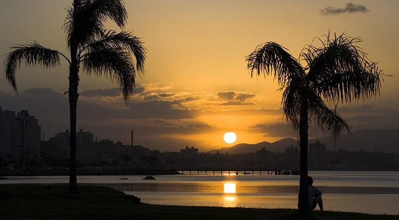 A local leaning against a tropical tree and watching the sun set over the ocean in Florianópolis.