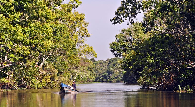 A man piloting a small motorized boat through a waterway in the Brazilian Amazon Rainforest.