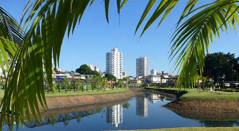 Tropical tree branches framing some modern buildings of the city of Manaus in the Brazilian Amazon.