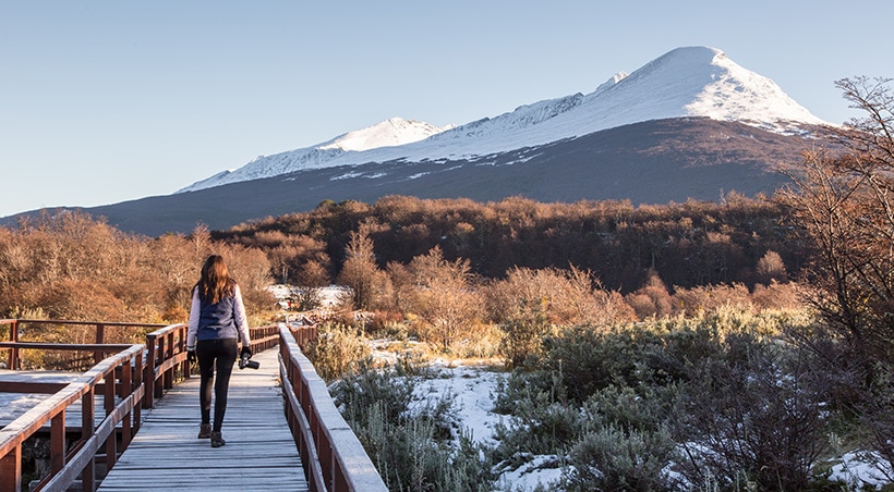 A pathway leading past the blue-tinted Perito Moreno glacier in Los Glaciares National Park.