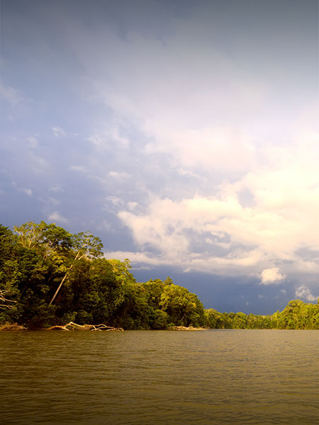 A dark and cloudy sky overlooking a river surrounded by trees in the Amazon Rainforest.