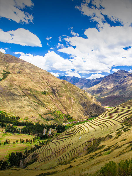 Inca agricultural terraces lining a mountainside at Pisac in Peru’s Sacred Valley.