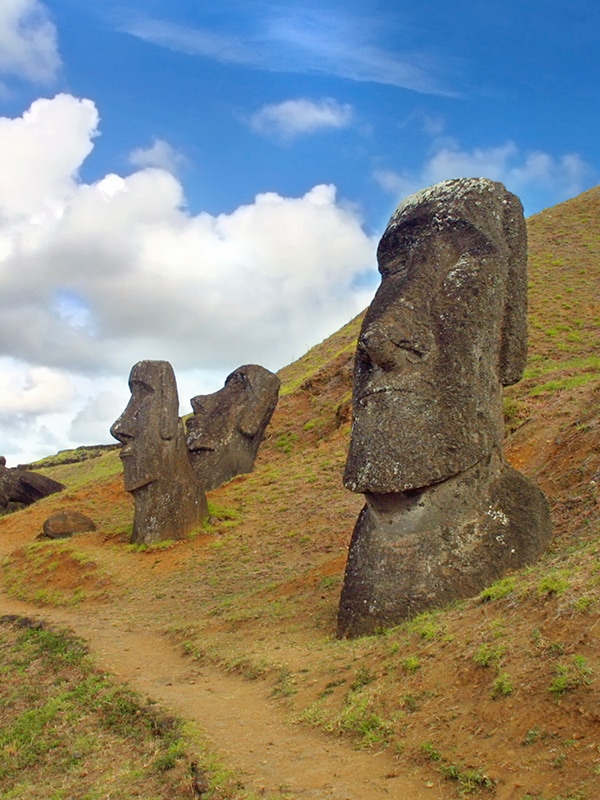 A number of the large human figures known as moais sticking out of the dirt on Easter island.