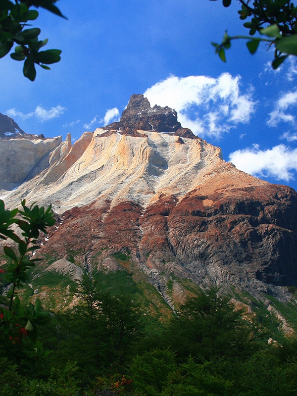 Trees and greenery at the foot of a multi-colored mountain in Torres del Paine National Park.
