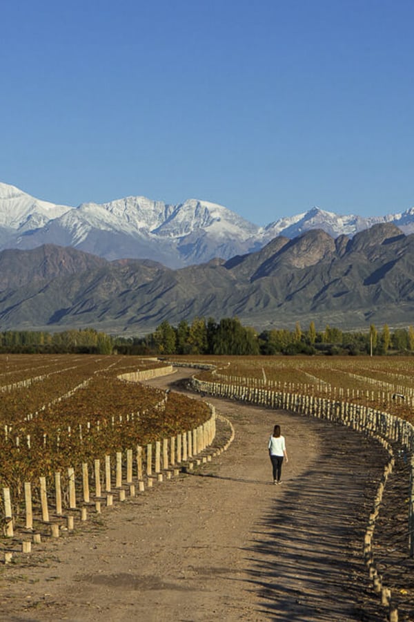 A woman walking down a road through a Mendoza vineyard overlooked by mountains and hills.