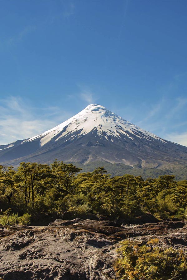 The massive snow-capped Osorno Volcano, surrounded by lush forest near Puerto Varas.