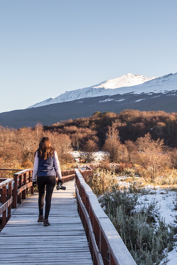 A visitor with a camera walking along a wooden walkway at Tierra del Fuego National Park.