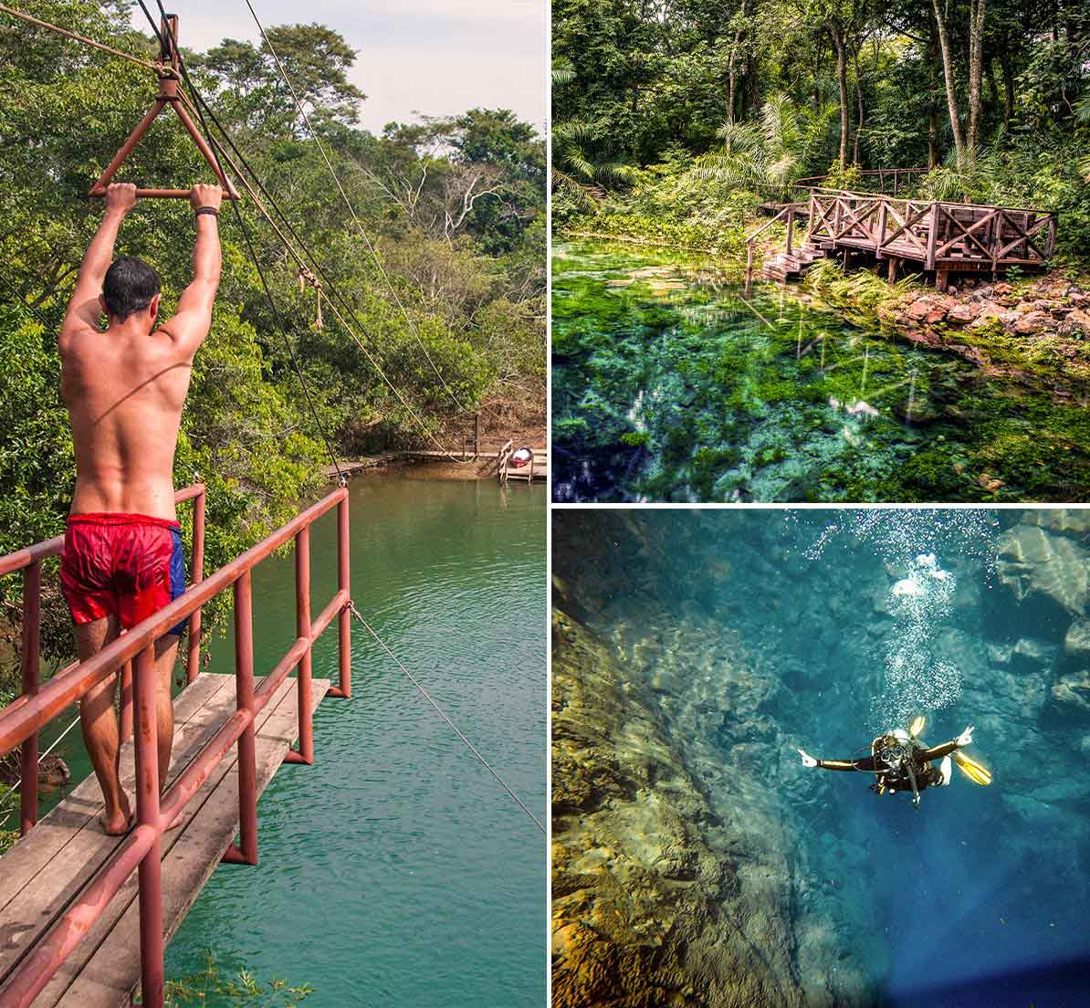 A collage showing a man about to zip-line, a wooden platform next to a pond, and a scuba diver.