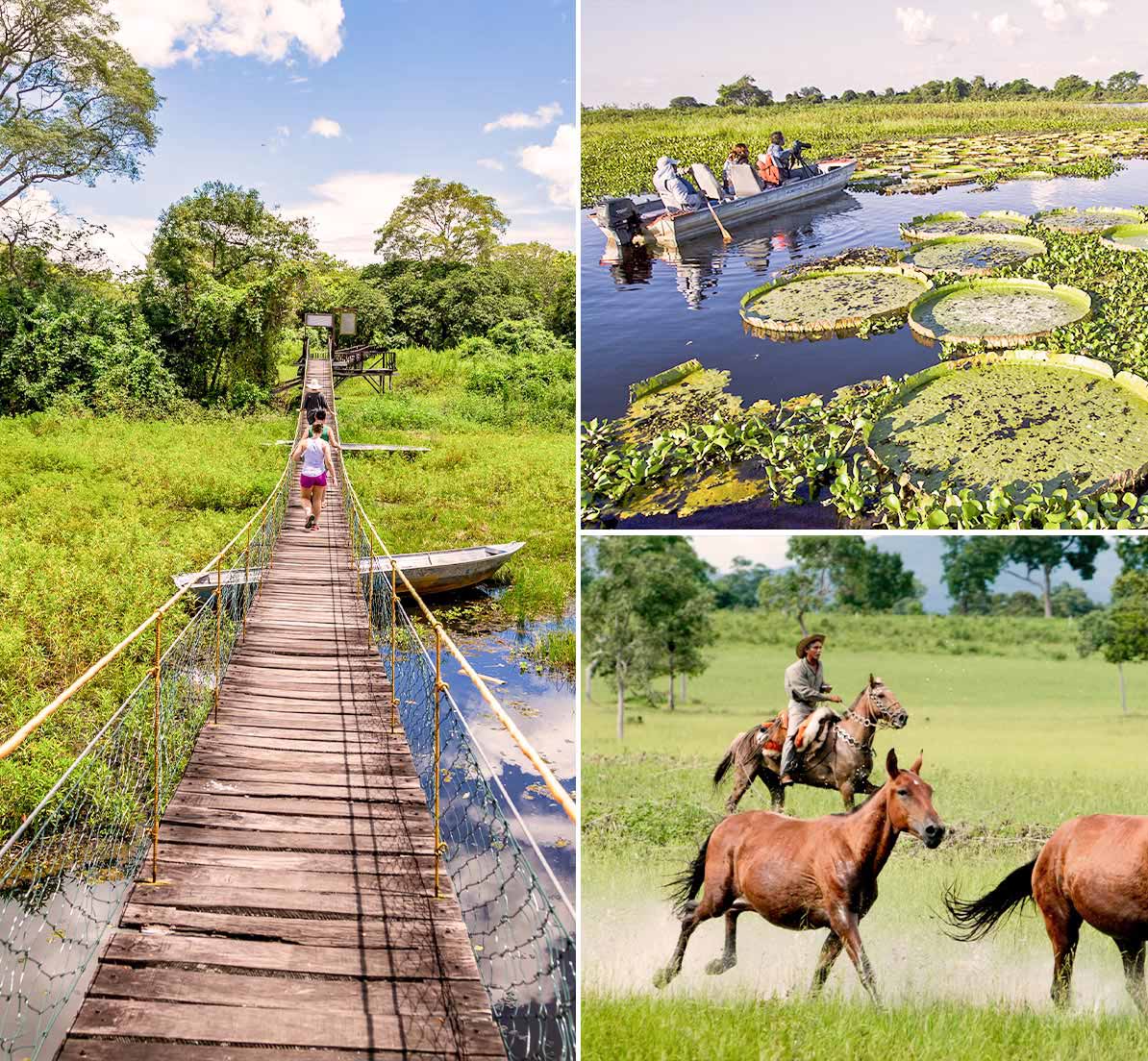A collage of a wooden bridge, a boat navigating a pond, and a man on horseback in the Pantanal.