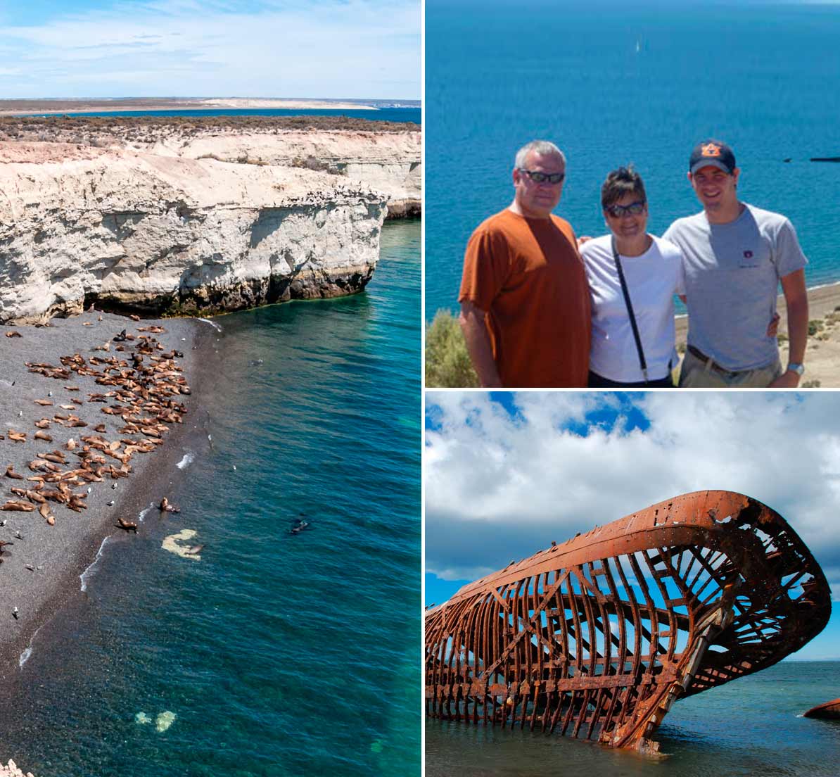 A collage showing a beach covered in sea lions, a group of tourists, and a shipwreck.