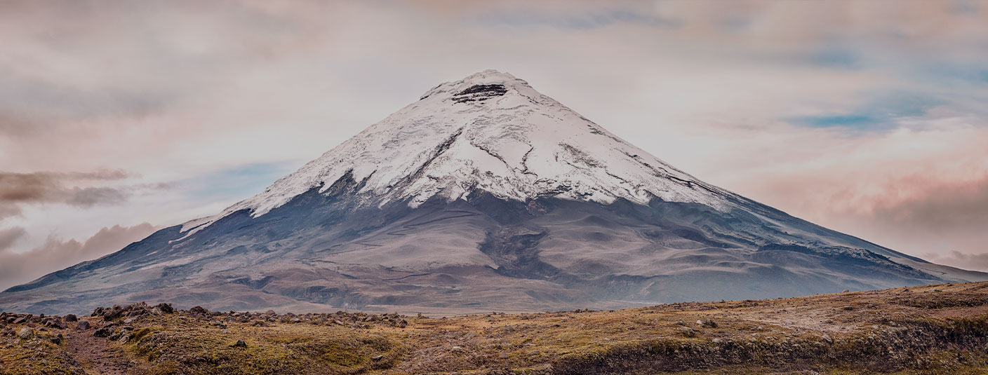 A panoramic view of the massive snow-capped Cotopaxi Volcano overlooking a grassy Andean plain.